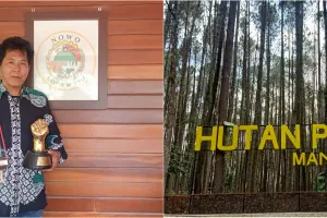 Mengenal aktor di balik popularitas wisata Hutan Pinus Mangunan, bermula pertemuan dengan Sri Sultan