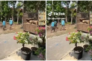 Berasa kondangan di Disneyland, 11 potret dekorasi pernikahan di kebun rumah kampung ini bikin takjub