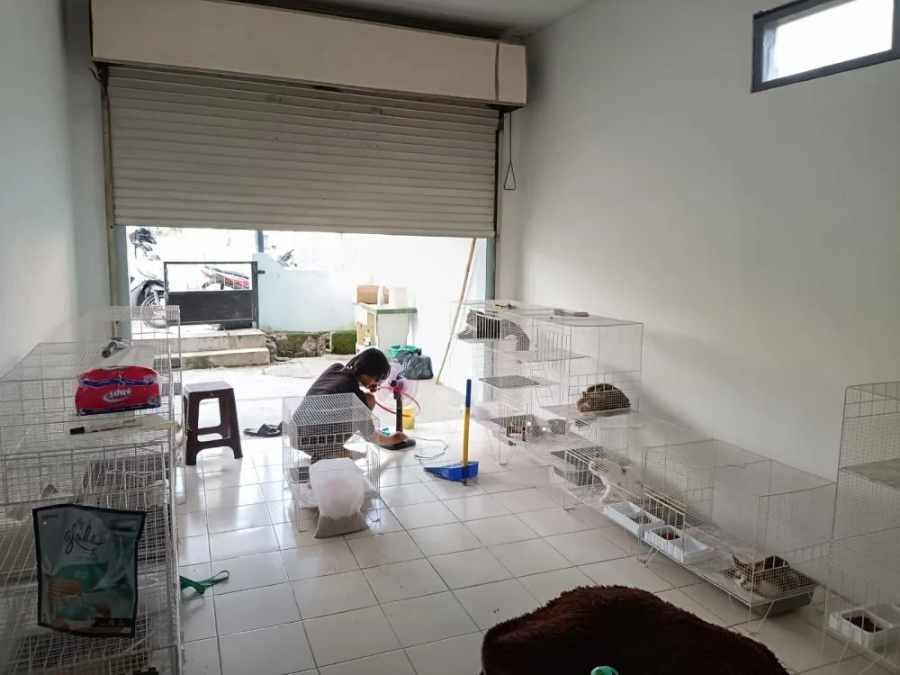 Bingung cari kerja © 2023 brilio.net Bingung cari kerja © 2023 brilio.net