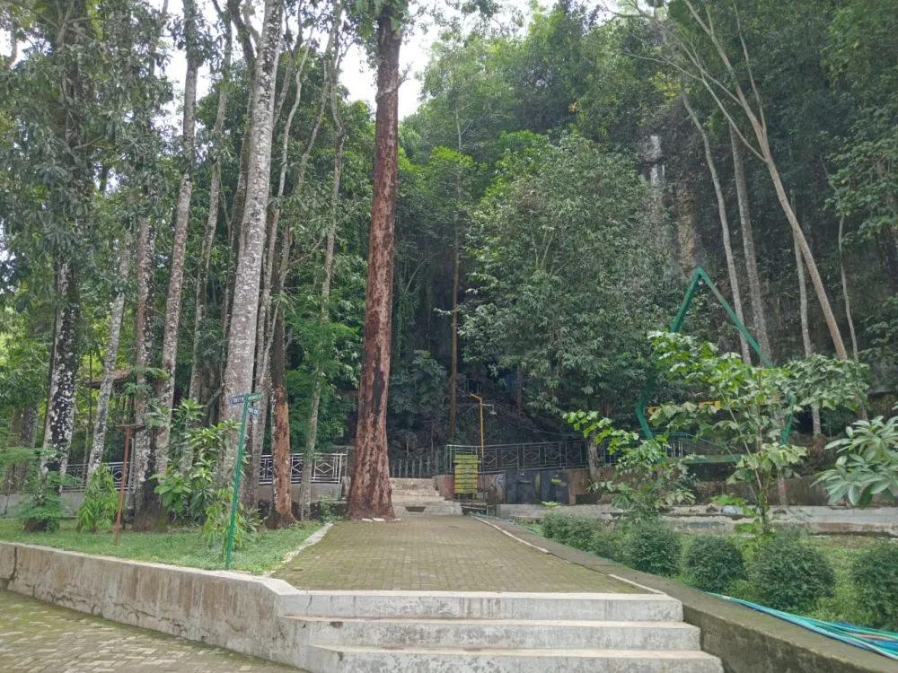 goa cerme sepi © 2024 brilio.net