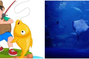 11 Arti mimpi melihat ikan besar menurut mitologi Tiongkok, isyarat peristiwa besar di masa depan