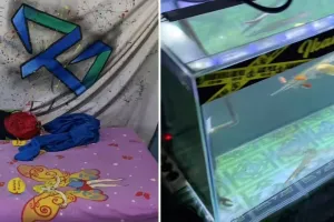 Tidur sekamar dengan banyak hewan peliharaan, penampilan kamar pria ini bikin geleng kepala