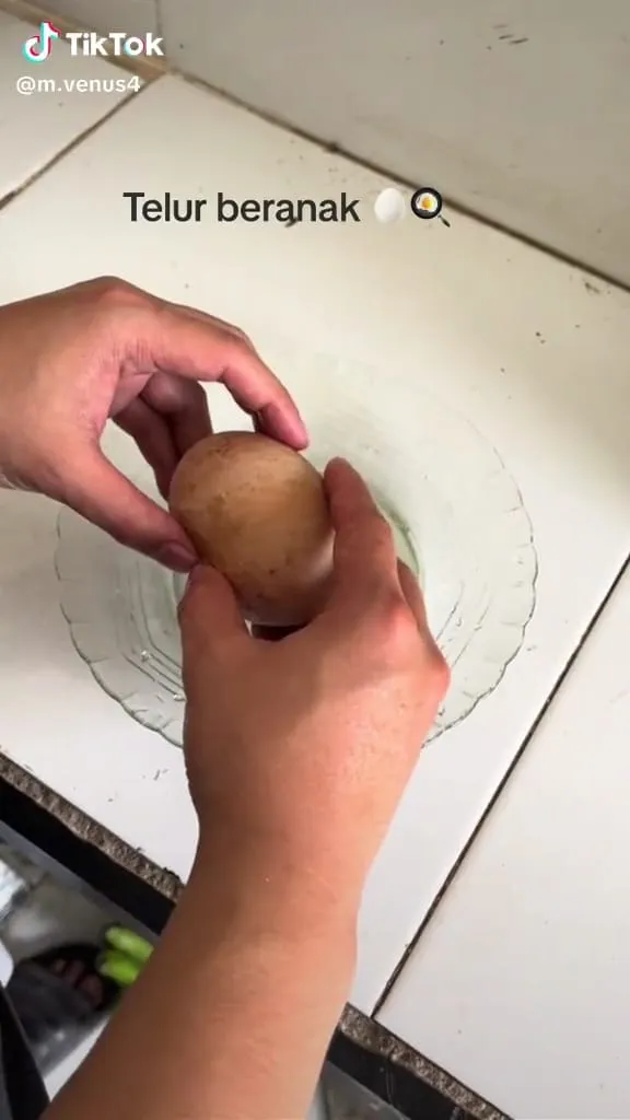 Telur dalam telur © TikTok Telur dalam telur © TikTok