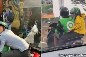 45 Potret kocak tingkah nyeleneh orang saat dibonceng ini bikin bingung pengendara lain, absurd abis