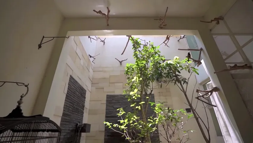 dapur Dodit Mulyanto ini mungil © YouTube