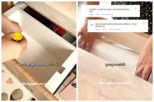 Tanpa cuka dan lada, ini cara mencegah datangnya cicak di laci dapur andalkan 1 bumbu dapur