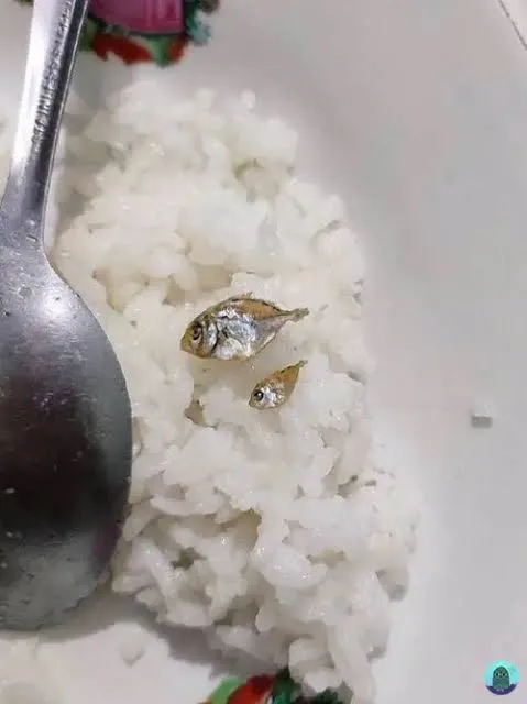 makan anak kos akhir bulan berbagai sumber makan anak kos akhir bulan berbagai sumber