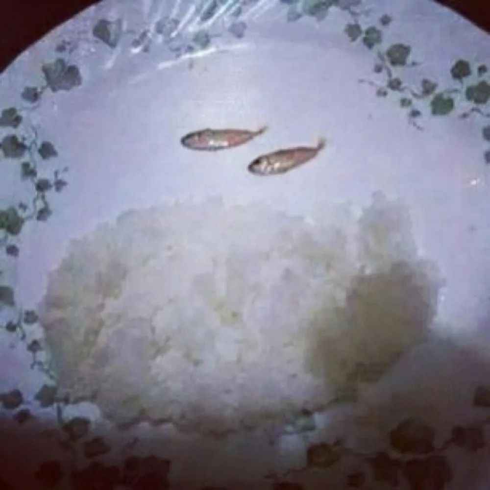 makan anak kos akhir bulan berbagai sumber makan anak kos akhir bulan berbagai sumber