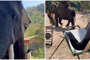 Momen gajah melukis pemandangan indah ini bikin setengah percaya, hasil coretannya bikin melongo