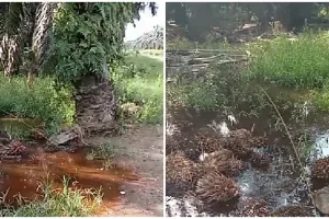 Definisi rejeki tak tertukar, momen kakek mancing seadanya ini hasilnya malah bikin iri pemancing lain