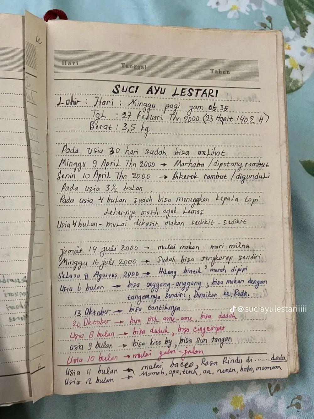 ternyata begini isi tulisannya © TikTok ternyata begini isi tulisannya © TikTok