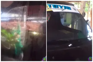 Modal Rp4.000, cara pria hilangkan jamur di kaca mobil ini ampuh cuma ditambah 1 bahan dapur