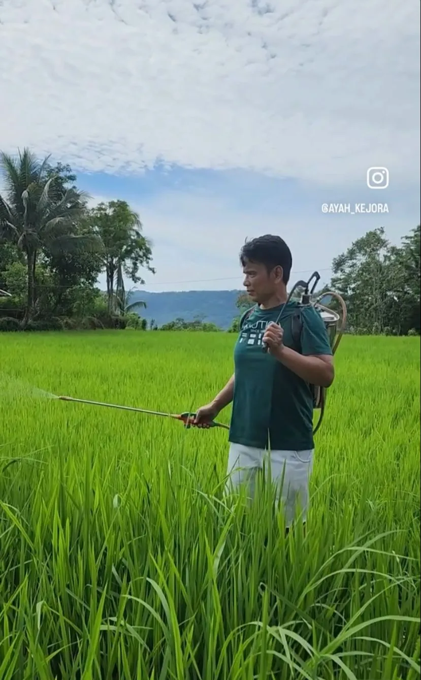 potret kesederhanaan ayah lesty urus sawah © berbagai sumber potret kesederhanaan ayah lesty urus sawah © berbagai sumber