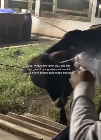 lampiaskan kegalauan © TikTok lampiaskan kegalauan © TikTok