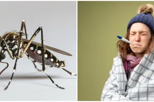 Kenali sebelum terlambat, ini 6 ciri-ciri demam berdarah pada orang dewasa serta tips mencegahnya