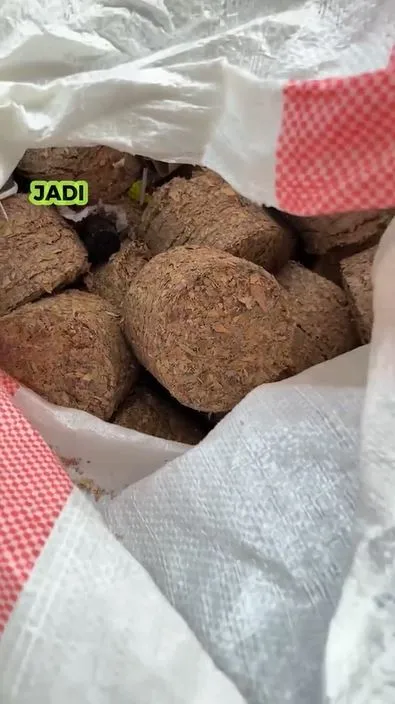 Penampakan uang Rp1,5 miliar jadi sampah TikTok Penampakan uang Rp1,5 miliar jadi sampah TikTok