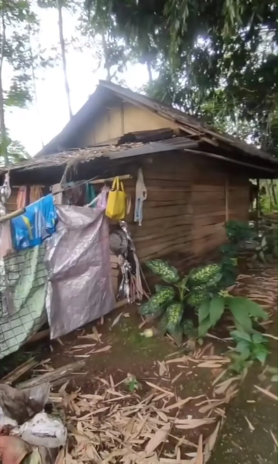 penampakan rumah mbak sombret © TikTok