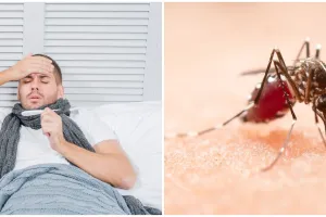 Sering diabaikan, 11 lokasi di rumah ini jadi tempat strategis nyamuk penyebab DBD berkembang biak