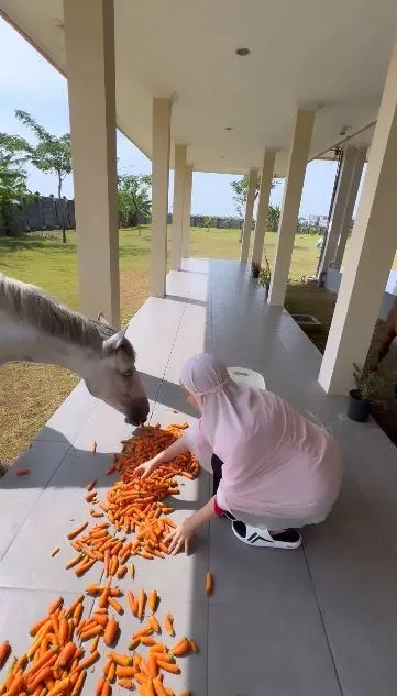 chacha frederica ubah jadi mini zoo © 2024 Instagram chacha frederica ubah jadi mini zoo © 2024 Instagram