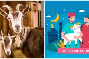 100 Kata-kata bijak menyambut Hari Raya Idul Adha terbaru 2024, inspiratif dan penuh makna mendalam