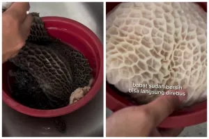 Cara membersihkan babat sapi dalam hitungan menit, putih bersih dan antiamis