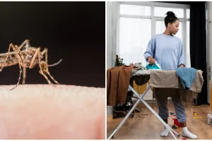 Sepele tapi rentan kena DBD, 5 kebiasaan ini bikin rumah jadi sarang nyamuk meski sering dibersihkan