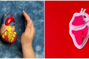 7 Olahraga yang disarankan untuk menjaga performa jantung, bikin sistem kardiovaskular lebih lancar