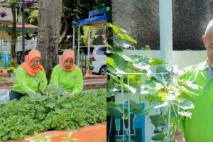 Didukung BRINita, kelompok tani Ini sulap lahan terbengkalai jadi produktif