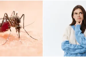 Benarkah demam berdarah (DBD) hanya terjadi sekali seumur hidup? Ini penjelasannya secara medis