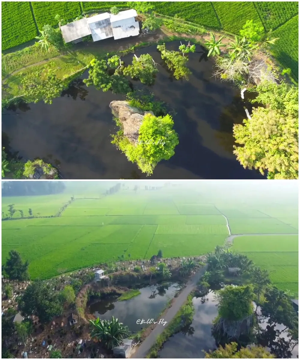 tempat wisata jember mirip lane mobile legends © 2024 brilio.net tempat wisata jember mirip lane mobile legends © 2024 brilio.net