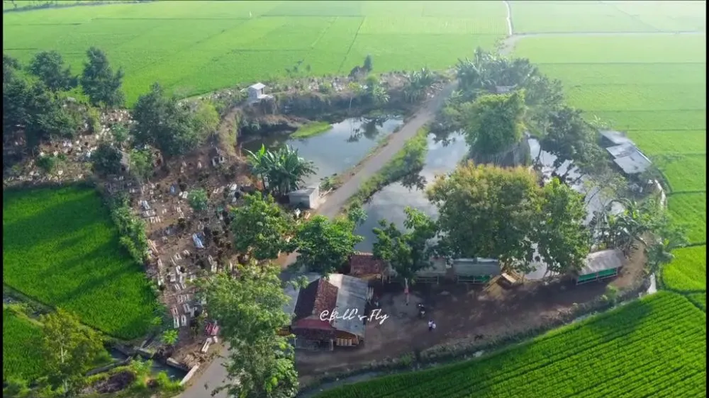 tempat wisata jember mirip lane mobile legends © 2024 brilio.net tempat wisata jember mirip lane mobile legends © 2024 brilio.net