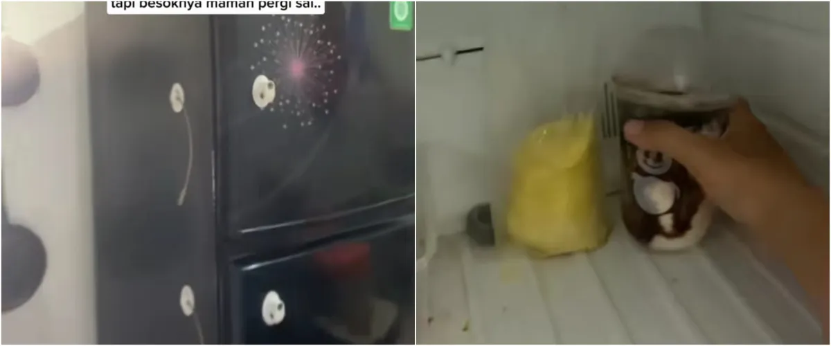 Momen pria masih menyimpan es krim ibunya yang telah meninggal 9 bulan lalu, kisahnya bikin mewek