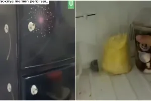 Momen pria masih menyimpan es krim ibunya yang telah meninggal 9 bulan lalu, kisahnya bikin mewek