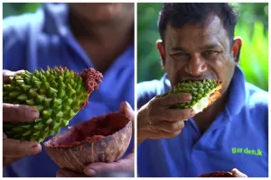 Demi konten ASMR, pria ini santai nyemil kulit durian pakai cocolan sambal