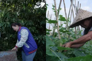 Mengenal Angseri, desa BRILiaN dengan tata kelola terbaik