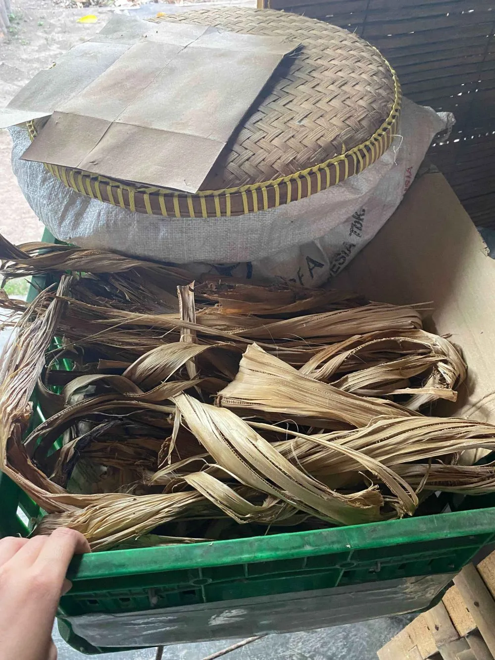 Liputan Palka Kreatif © 2024 brilio.net Liputan Palka Kreatif © 2024 brilio.net