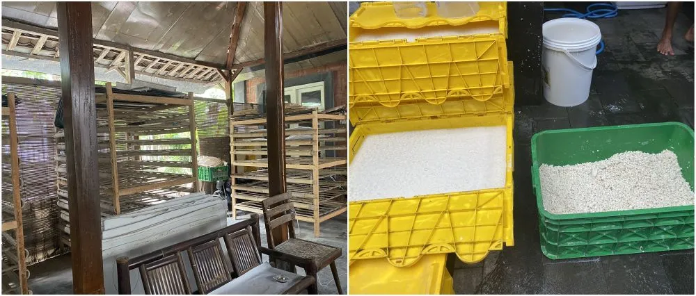 Liputan Palka Kreatif © 2024 brilio.net Liputan Palka Kreatif © 2024 brilio.net