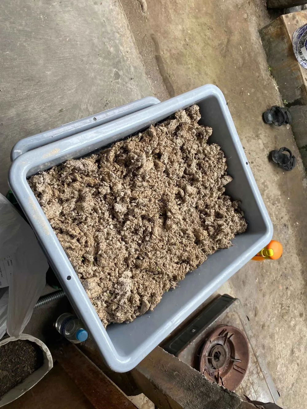 Liputan Palka Kreatif © 2024 brilio.net Liputan Palka Kreatif © 2024 brilio.net