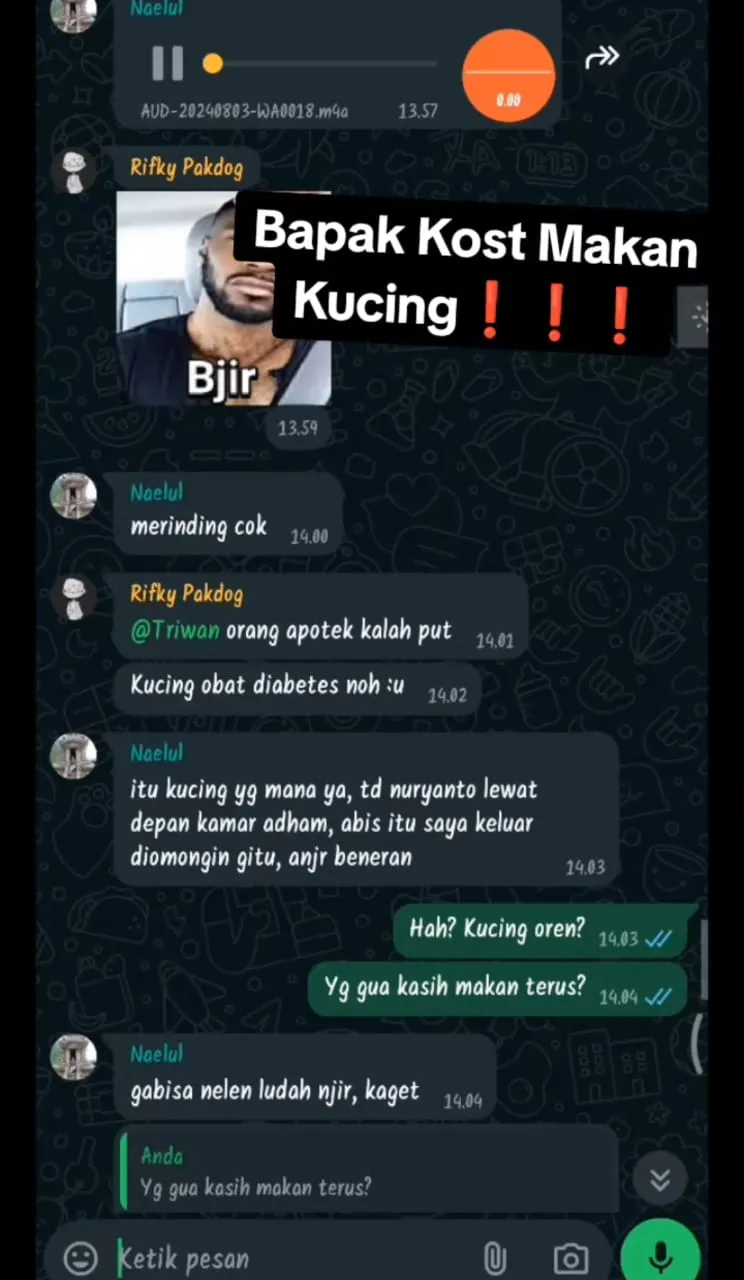 bapak kos makan kucing TikTok