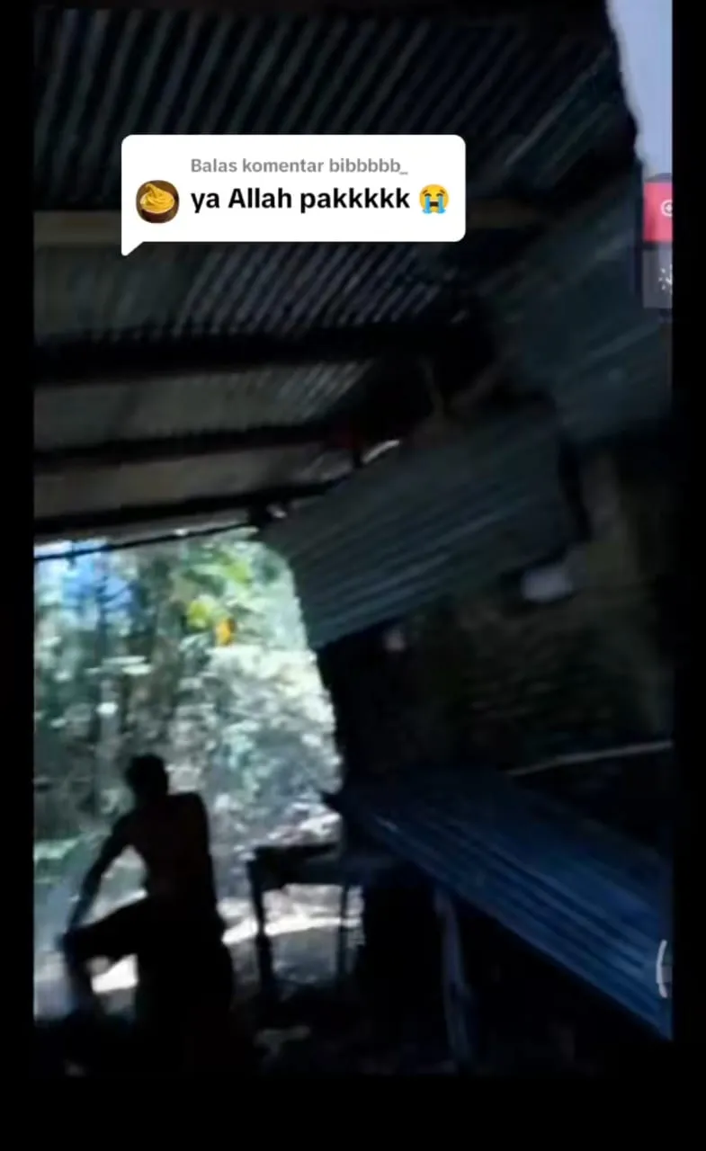 bapak kos makan kucing TikTok