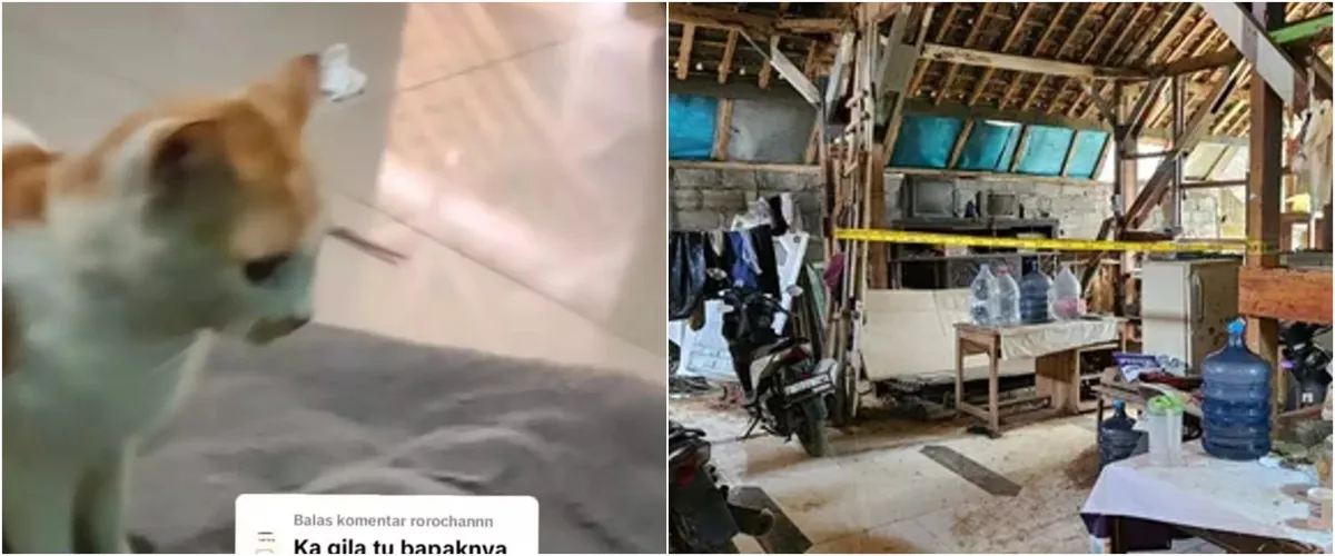 Sudah ditangani polisi, ini 7 fakta terbaru kasus bapak kos di Semarang yang makan kucing