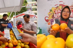 Usaha klaster jeruk ini makin berkembang berkat pemberdayaan BRI