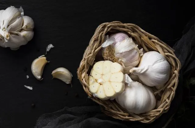 9 Cara mengusir lalat yang ampuh © 2024 brilio.net 9 Cara mengusir lalat yang ampuh © 2024 brilio.net