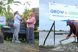Yuk kenalan dengan berbagai program BRI yang mendukung Net Zero Emission 2050