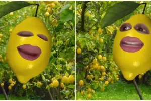 Cara bikin filter lemon di TikTok dan Instagram, viral karena dipakai Nikita Mirzani