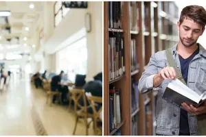 Macam-macam wujud devisa, dilengkapi penjelasan dan fungsinya