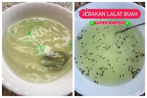 Tak perlu khawatir terkontaminasi kotoran, ini cara ampuh usir lalat buah pakai 4 bahan dapur
