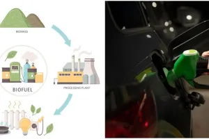 Jadi alternatif bahan bakar, ketahui perbedaan bioetanol, biodiesel, dan biogas
