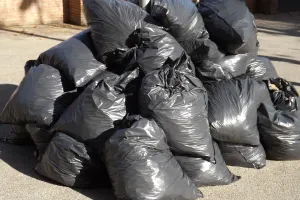 Mengungkap fakta: Laporan hasil observasi sampah dan dampaknya terhadap lingkungan