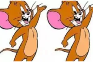 Tes ilusi optik, seberapa jeli mata kamu, temukan 3 perbedaan tersembunyi dalam gambar Jerry ini